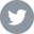 Twitter logo in a circle