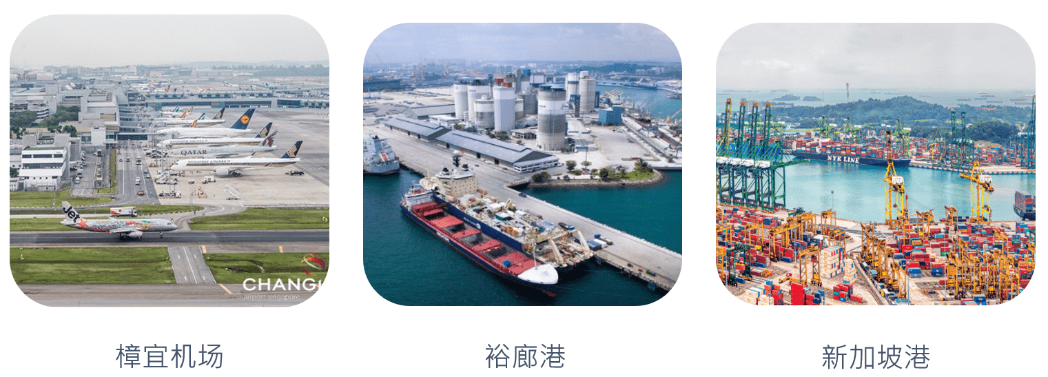 从新加坡至美国的货运航线— 中菲行国际物流集团